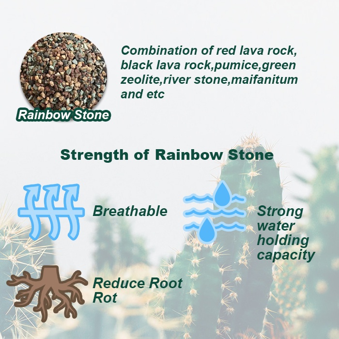 TIPTOP 1kg Cactus & Succulent Stone Gardening Planting Decoration Soil