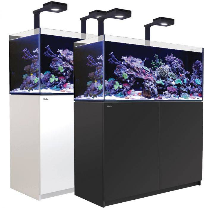 Red Sea REEFER™ Deluxe Tank (Nano / 170 / 250 / 350) | Shopee Malaysia