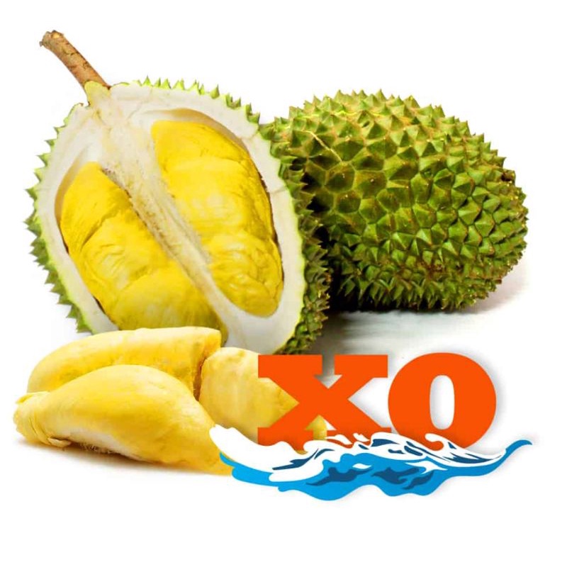 Anak Pokok Durian XO🌱🔥XO榴莲树苗 🌱🔥 Shopee Malaysia