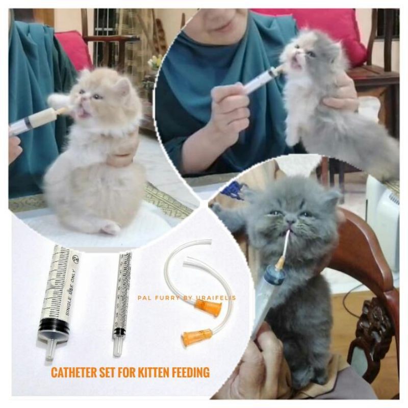 Kitten feeder/catheter/tube/syringe for cat/tube feeding//bottle
