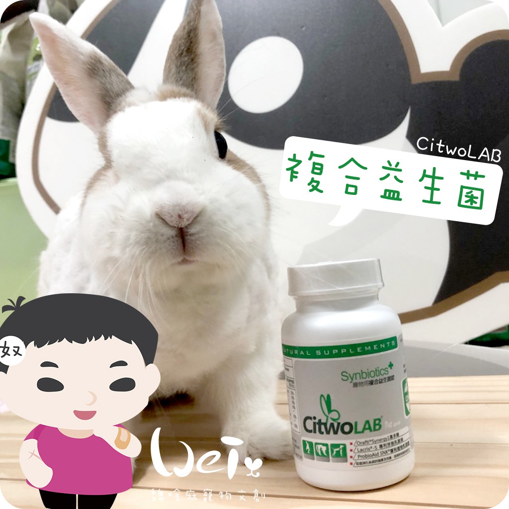 WeihemaCI Rabbit Citwo LAB Compound Probiotics Benefit Bunny
