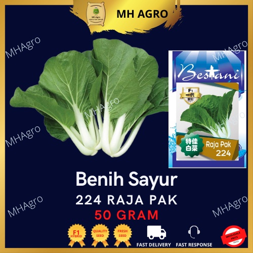 BESTANI S128 Benih Sayur Pak Choy Raja Pak 224 50Gram/18000Seed 白菜 菜种子 ...