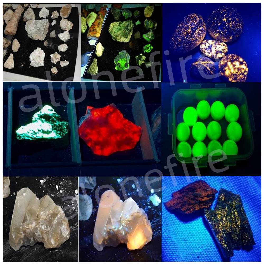 365nm-vs-395-nm-blacklight-uv-comparison-for-fluorescent