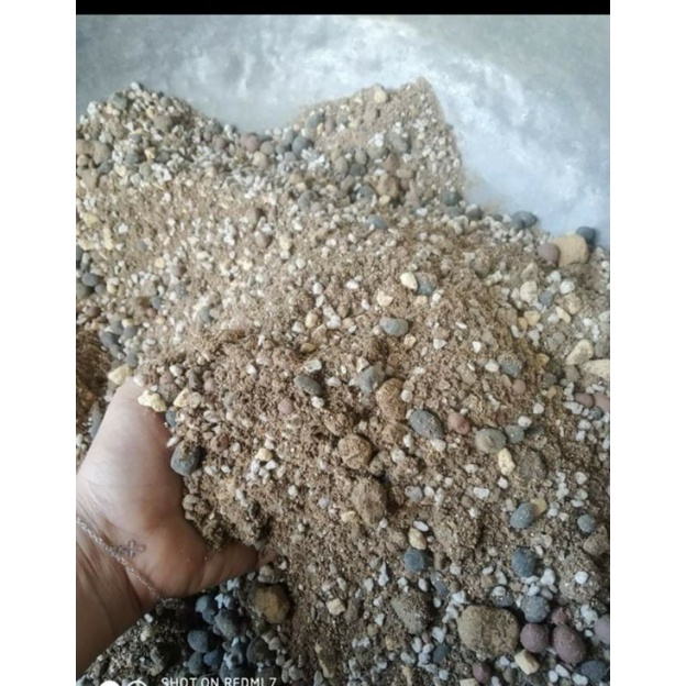 Stone Lotus Soil (Specialized For Growing Small Stone Lotus And Root Loss, Soil With Strong Root