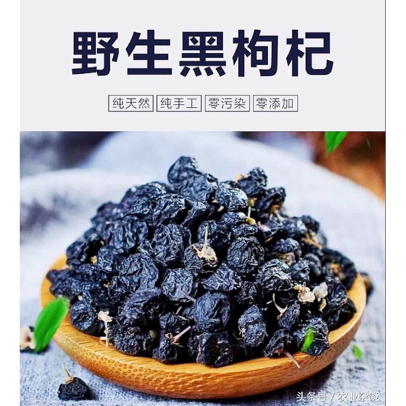 【Daruma.os】野生大果AA黑枸杞 250gm 野生黑杞子 Wild Black Wolfberry Black Goji Buah ...