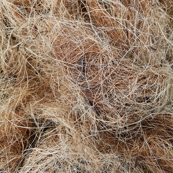 Cocofiber Sabut kelapa Kasar 粗椰丝 (300g) | Shopee Malaysia