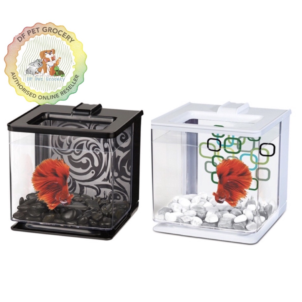 Easy care outlet fish tank