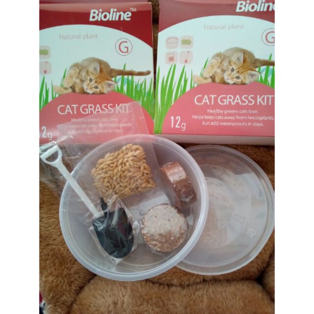 Cat grass outlet kit bioline