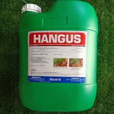 20L Hangus Glyphosate 41% Herbicide Racun Rumput | Shopee Malaysia