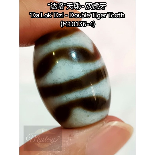 虎牙蓮花宝瓶天珠