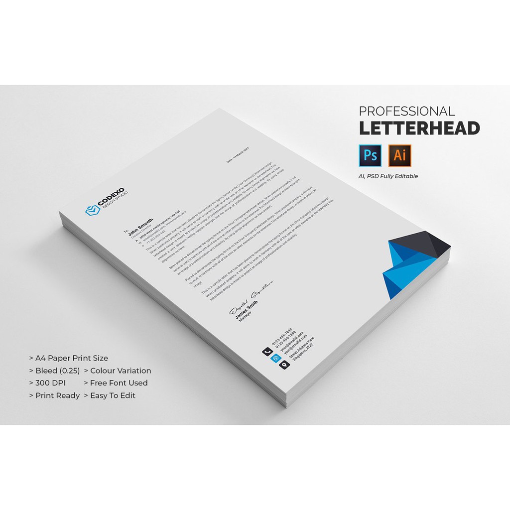 Design Editable Busines Letterhead for Your Company Graphic Designer