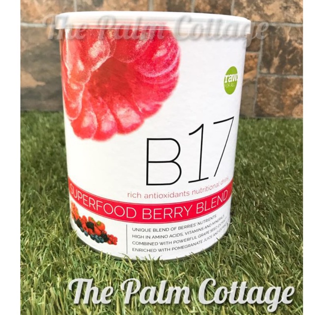 B17 SUPERFOOD BERRY Blend Rich Antioxidants Nutritional Drink (600G