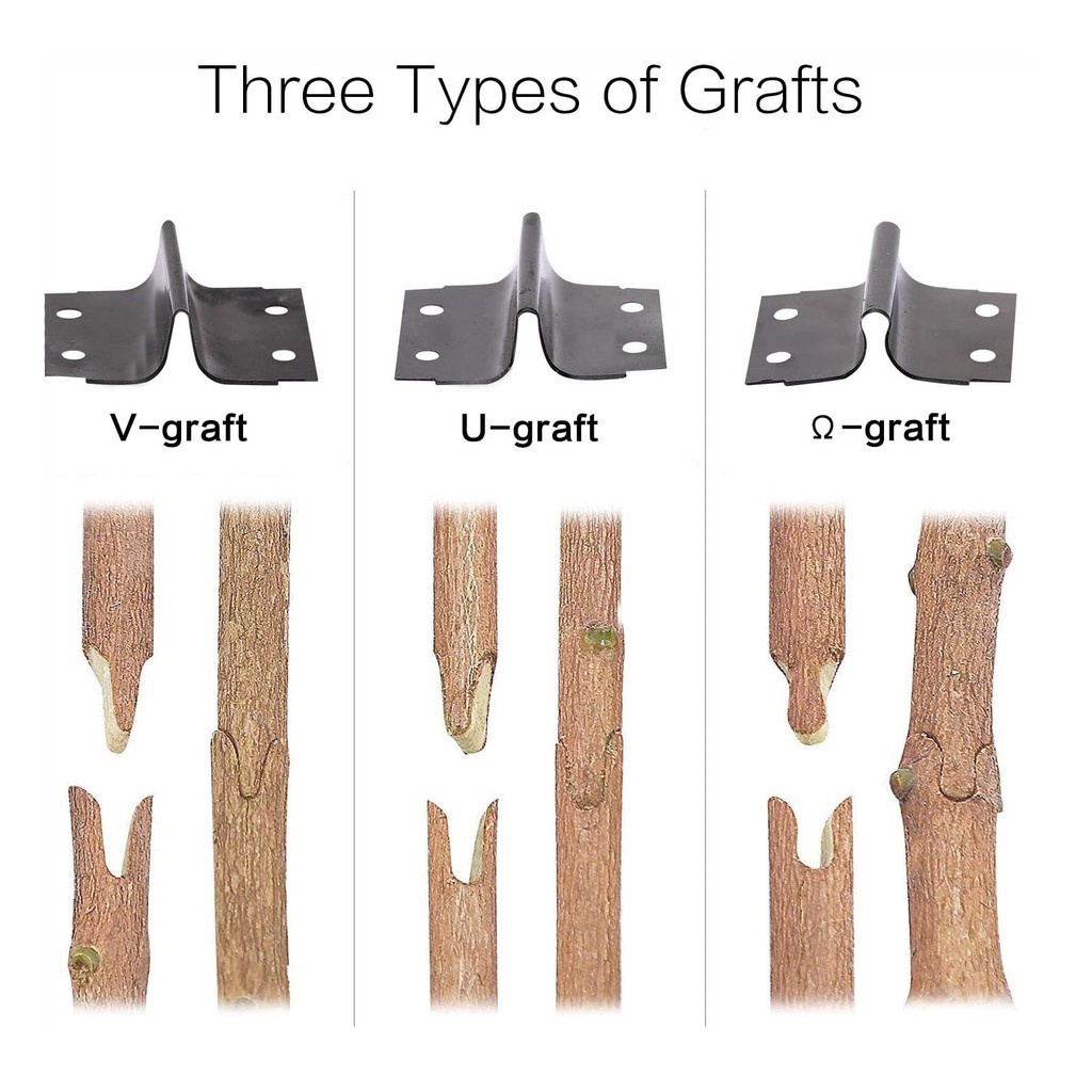 Alat Kawin Pokok Garden Scissor Grafting Cutting Tree Pruning Shears