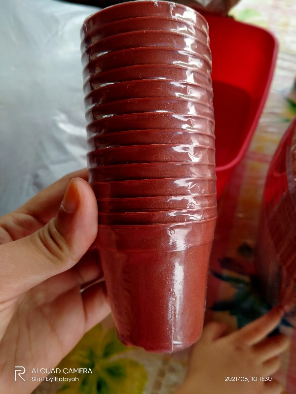 Mini Plastic Flower Pots vase / Pasu Bunga Plastik kecil Coklat Tebal Tahan  Lasak 【Ø55mm】