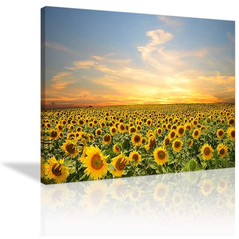 Sunflower Canves Wall Art Natural Scenery Art Golden Sunrise Sunflower