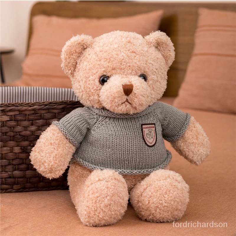 🔥New hot sale🔥 Genuine Teddy Bear Plush Toy Huggy Bear Ragdoll Bear ...