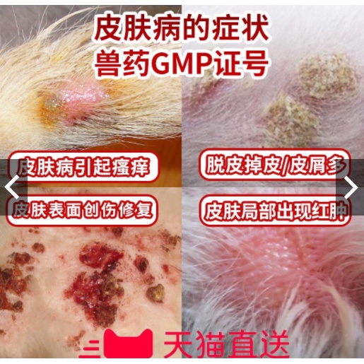 Pet dog fungal skin disease treatment eczema dermatitis itching nemesis