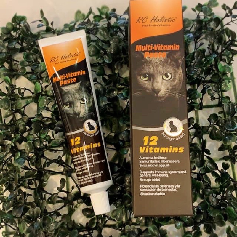 Rich Choice Holistic Multi Vitamin Paste For Cat 80G Shopee Malaysia