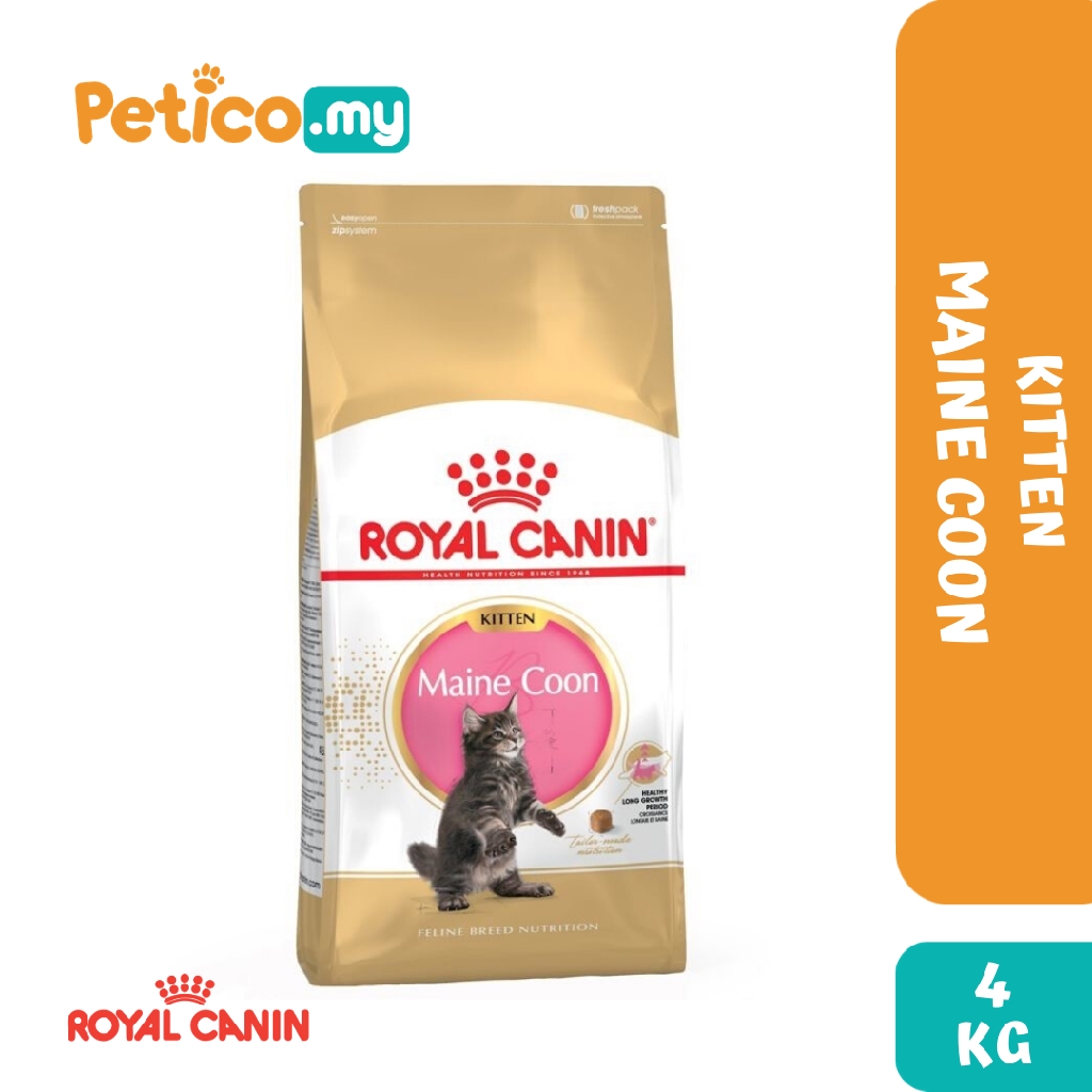 Royal canin maine coon kitten sales 4 kg