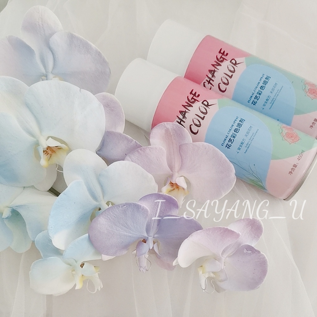 Floral Color Spray Flower Coloring Spray Pewarna Bunga 鲜花喷色剂 450ML ...