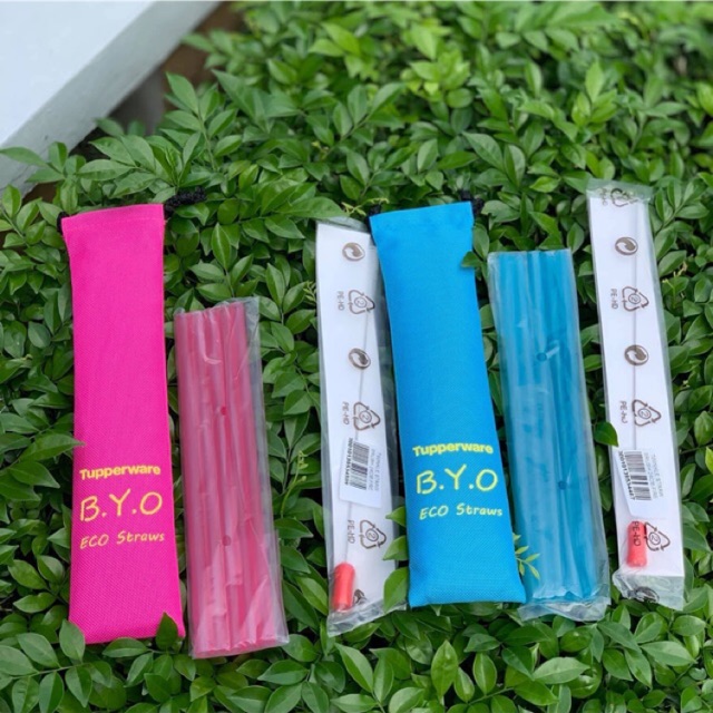 Tupperware Go Eco Straw & Brush Set | Shopee Malaysia