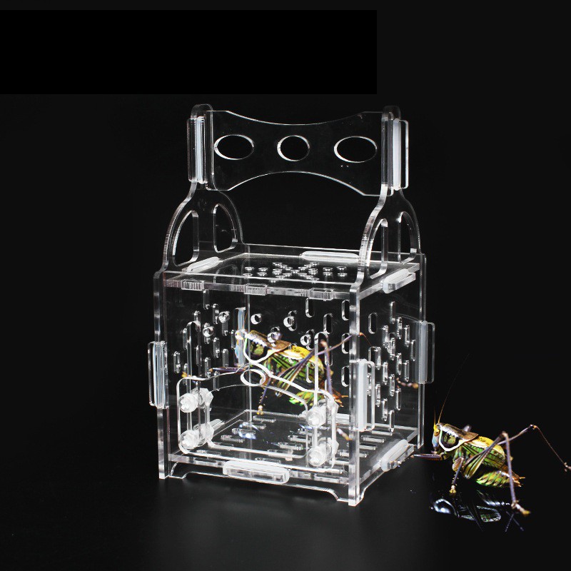 Reptile Spider Scorpion Habitat Terrarium Breeding Box Transparent ...