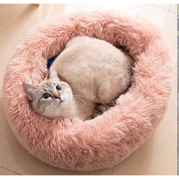 Cat best sale pillow bed