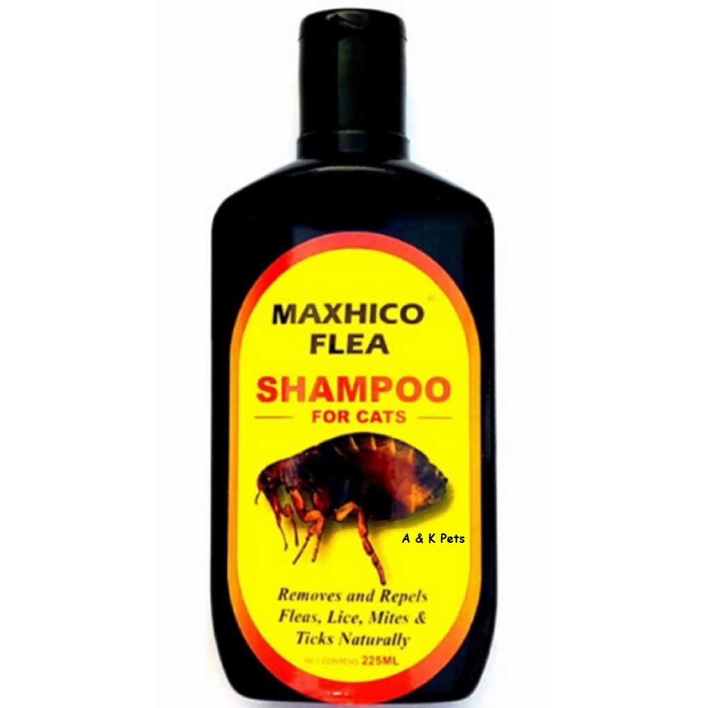 Advantage cat hotsell flea shampoo