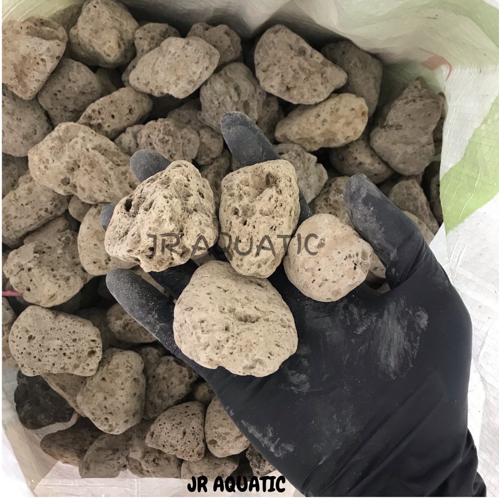 PUMICE STONE MEDIA (16kg) Media Filteration Bacteria House for Aquarium