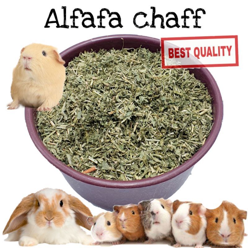 Picture of alfafa chaff hay 1kg imported quality rabbit guinea pig food high fiber ...