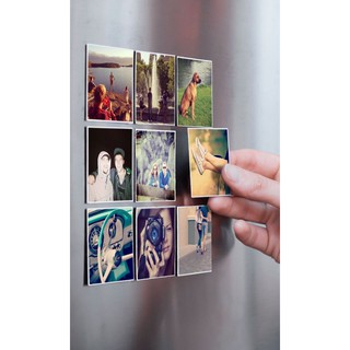 4PCS Cardinal Diamond Painting Magnet Refrigerator Diamond Art Magnets  Decals