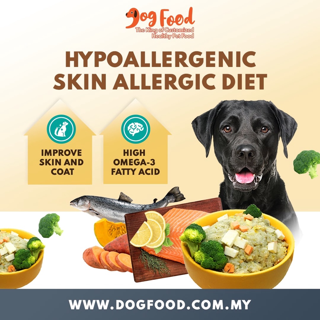 Hypoallergenic dog food (Skin sensitive dog) - Salmon Wet Dog Food (10 ...