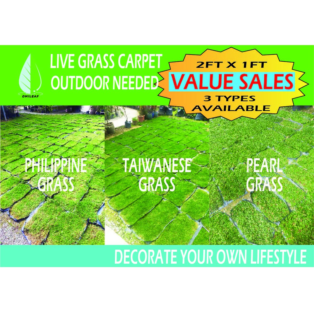 2ft x 1ft Natural Real Life Grass Carpet Taiwanese, Philippine, Pearl