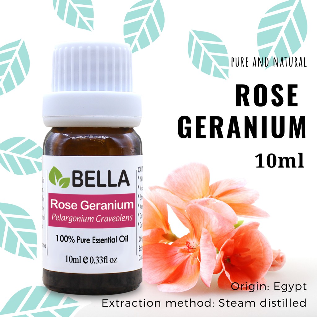 Rose Essence Oil, 100% Pure Rose Absolute Oil for Diffuser, Rose Essential  Oil for Relaxation, Rosa Oil, Premium Quality, 10ml 0.33 fl oz