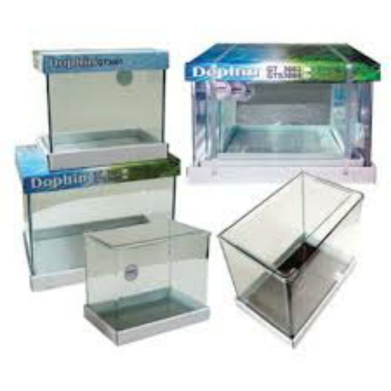 Dophin shop aquarium tank