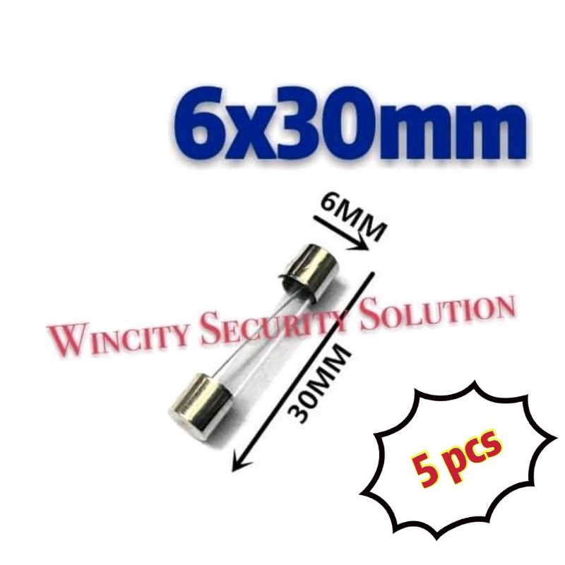 5-Pack 1A 125V/250V Glass Fuse – 6x30mm Fast-Blow Fuses For Electronics, Appliances, And Electrical Repairs