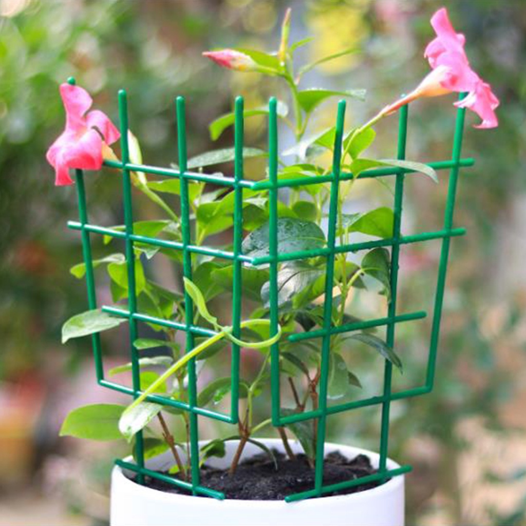 Plant Support Frame Unique Design Rack Plastic Trellis Brackets Green