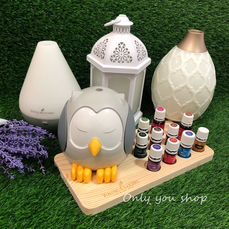 Young Living Wood Display Rack for diffuser & essential oil (Ready ...