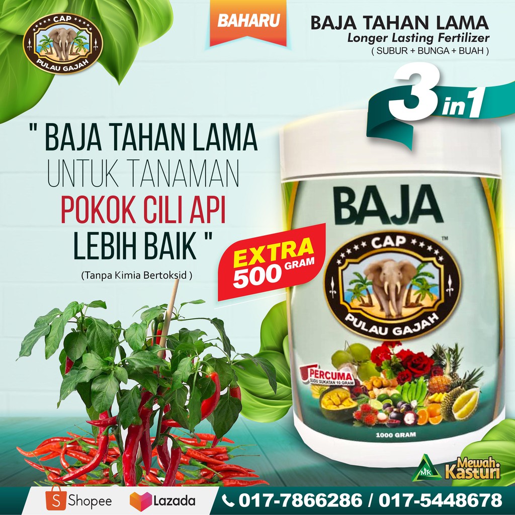 BAJA POKOK CILI API DAN SAYUR-SAYURAN 13 Sumber Nutrein Semulajadi in 1 ...