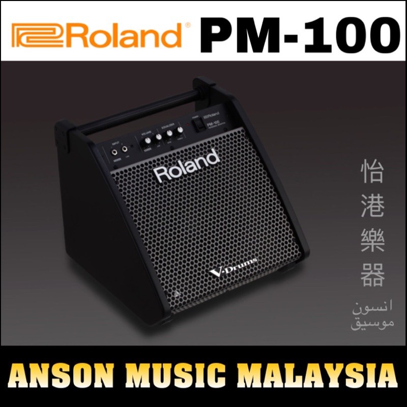 Roland drum deals amp pm 100