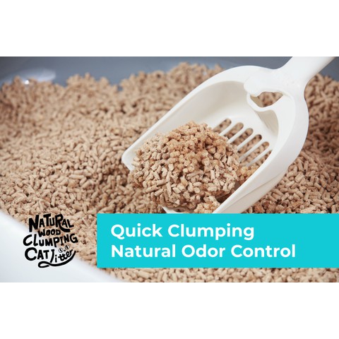 Cature Natural Wood Clumping Cat Litter Odor Control Carbon 6L 2.4kg Shopee Malaysia