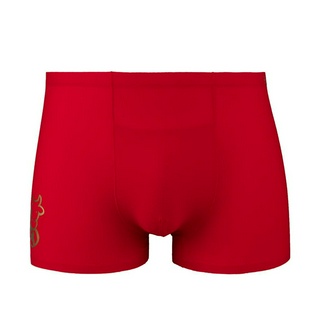 2 Pcs) Byford Men Brief Nylon Spandex Men Underwear Assorted