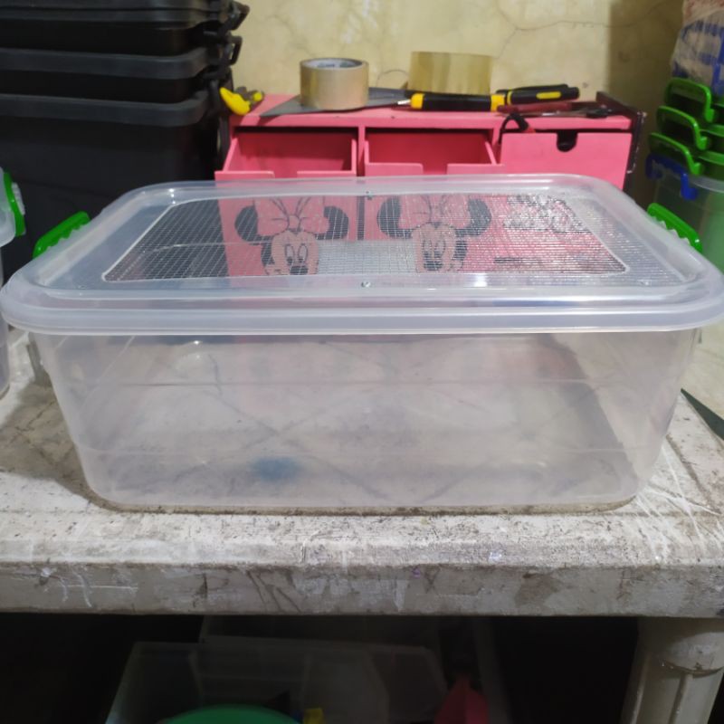 Wired Top Transparent Hamster Bin Cage / Rodent Cage / Tarantula ...