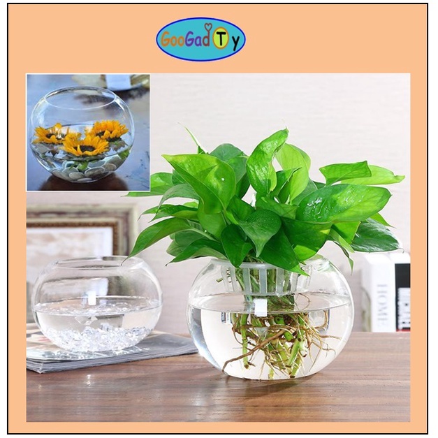 Round Glass Vase Indoor, Hydroponic Flower Vase, Mini Round Fish ...