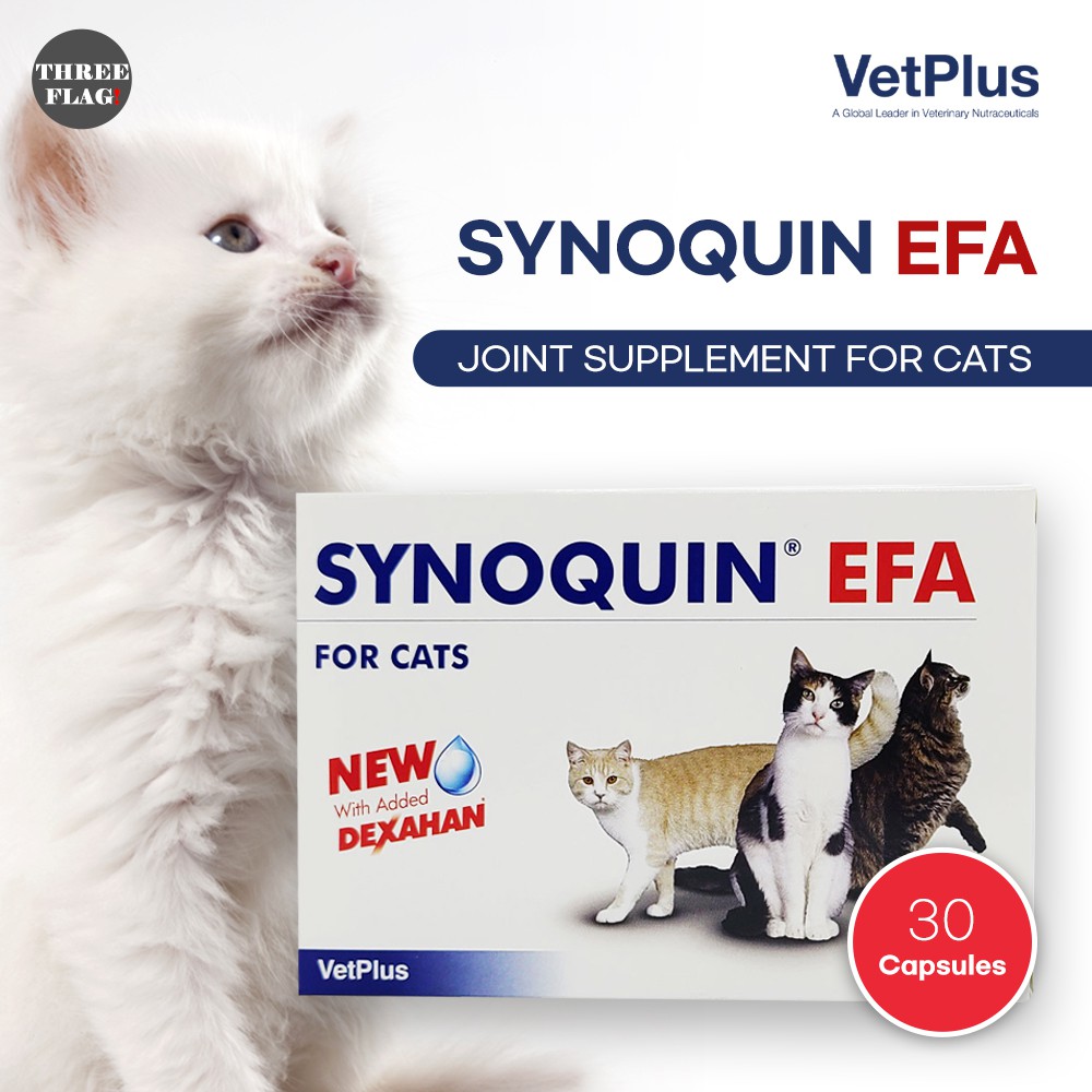 Synoquin cheap for cats