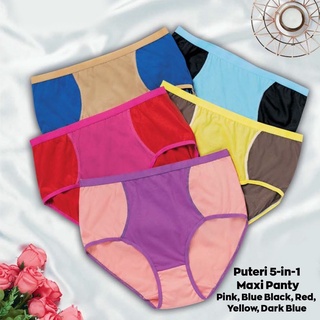 Avon 5-in-1 Maxi Panty