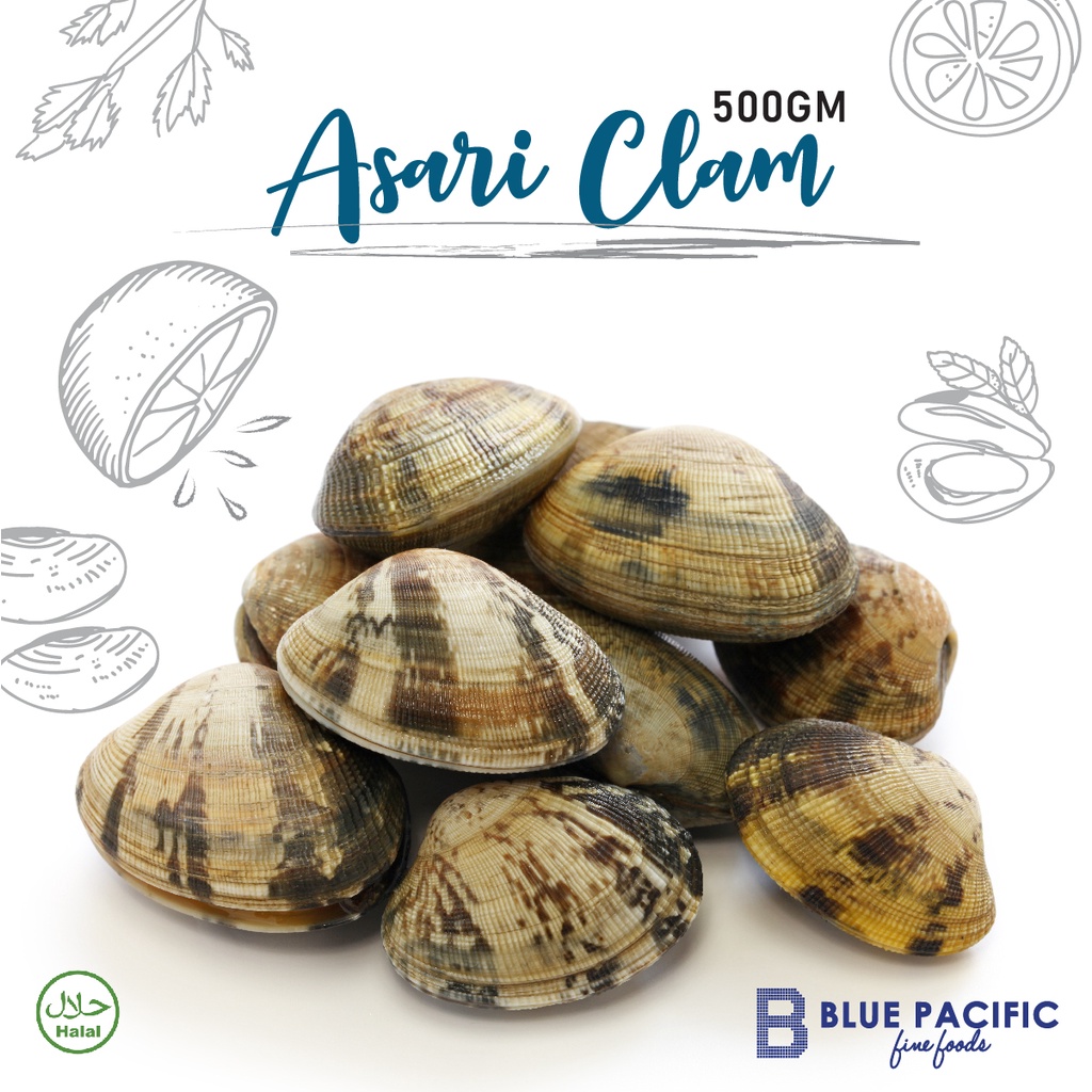 Halal Asari Clam 500gm | Shopee Malaysia