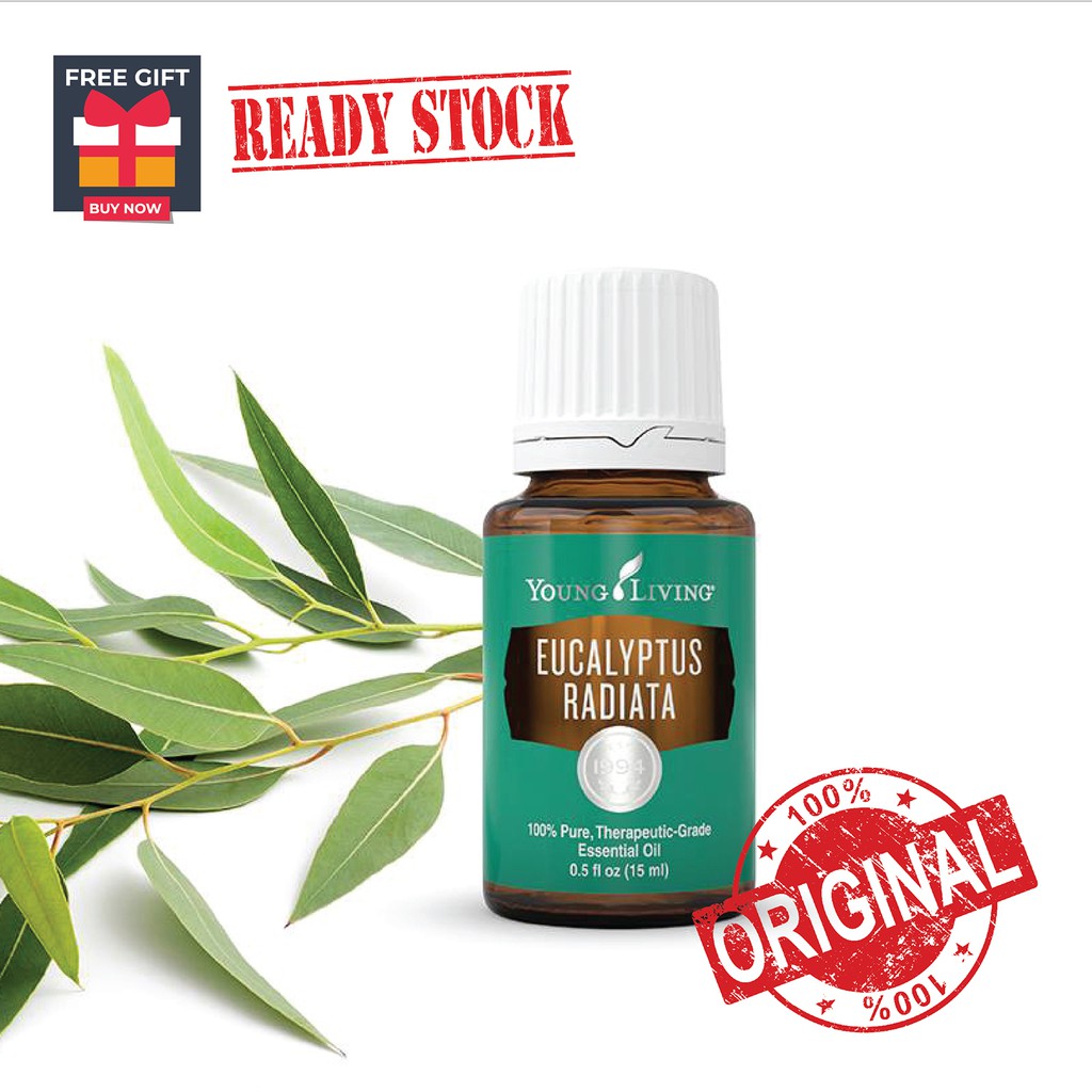 ORIGINAL Young Living Eucalyptus Radiata Essential Oil 15ml Shopee