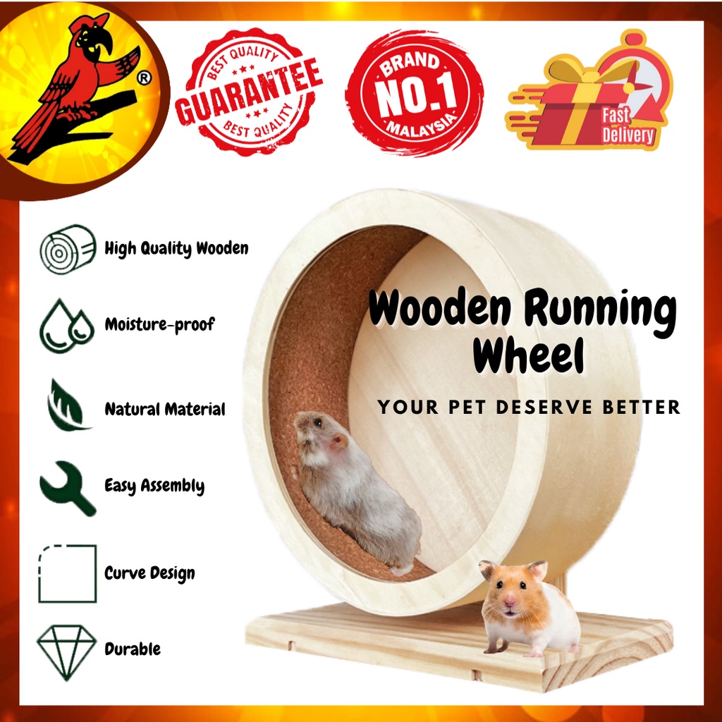 Ferret exercise outlet wheel