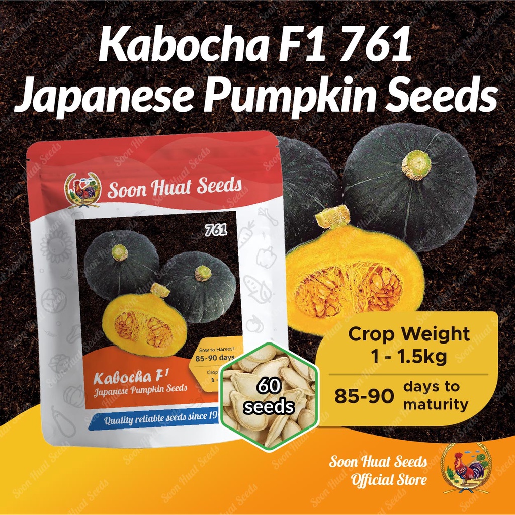 [10g] 761 Benih Labu Manis Jepun Kabocha Squash Soon Huat Seeds ...